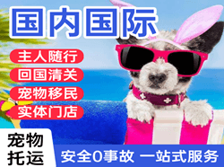 漠河航空空运国际宠物托运 【国